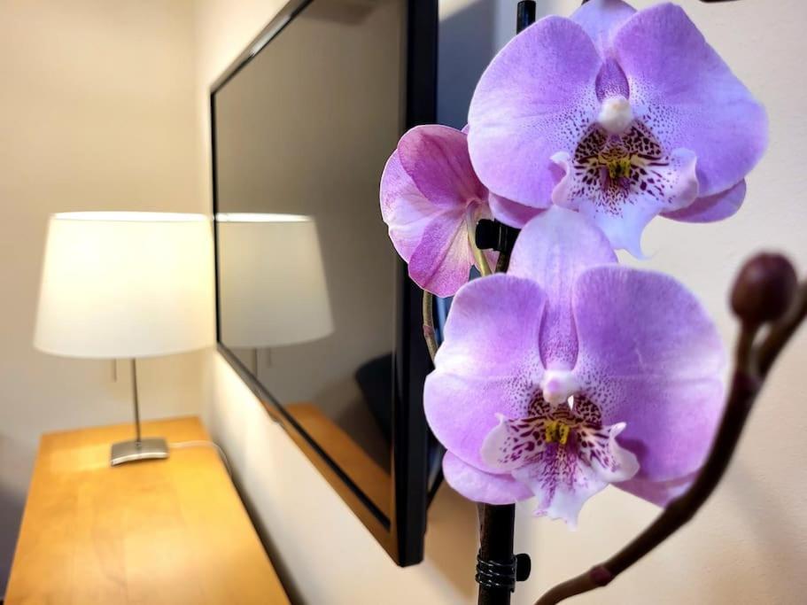 Flamenco, Apartamento Exclusivo De Dos Habitaciones En El Pleno Del Casco Antiguo, Alicante, Playa, Centro Historico, Rambla Экстерьер фото